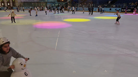 Dubai Ice Rink thumb 9